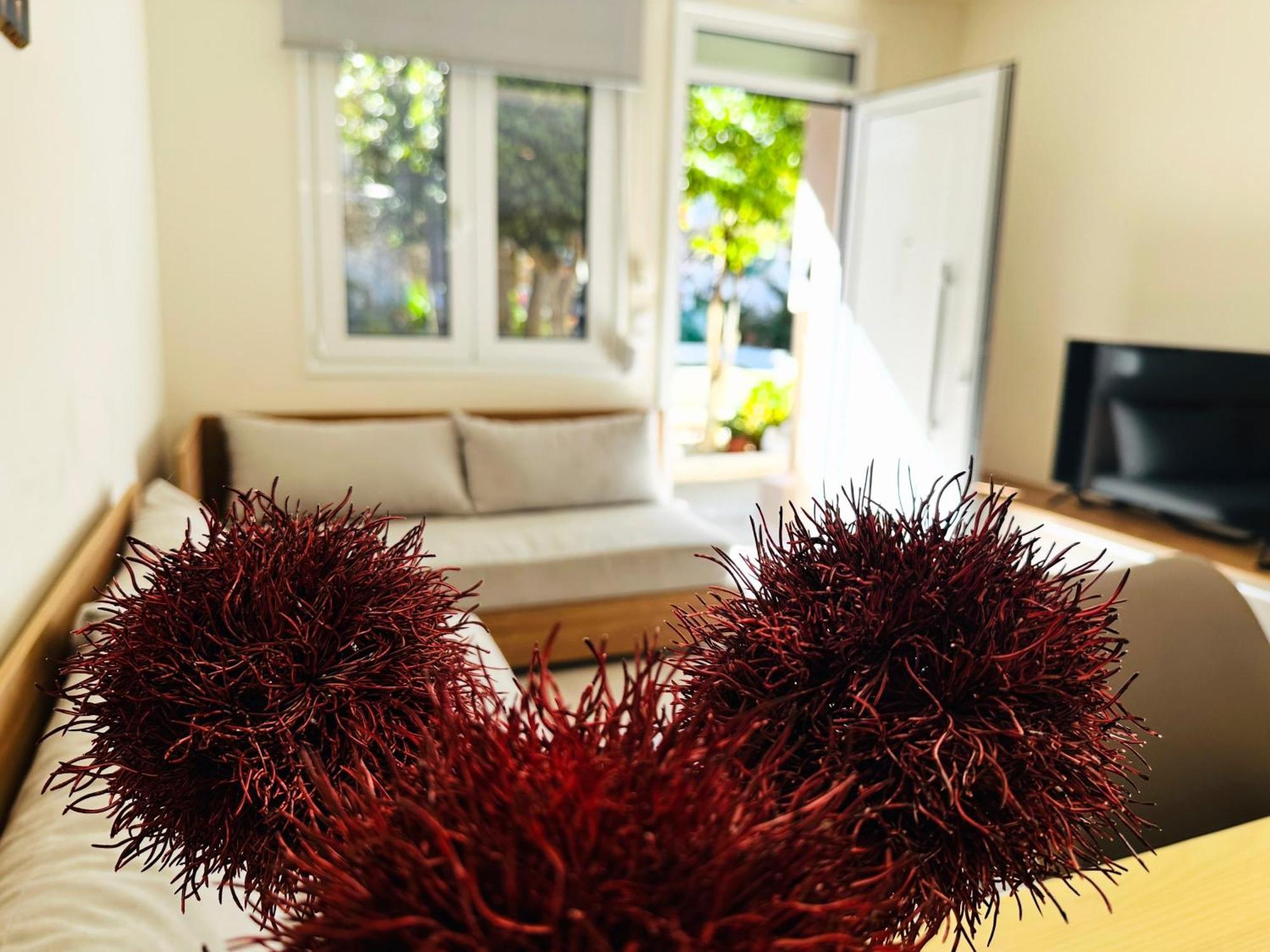 חאניה Matina Room מראה חיצוני תמונה